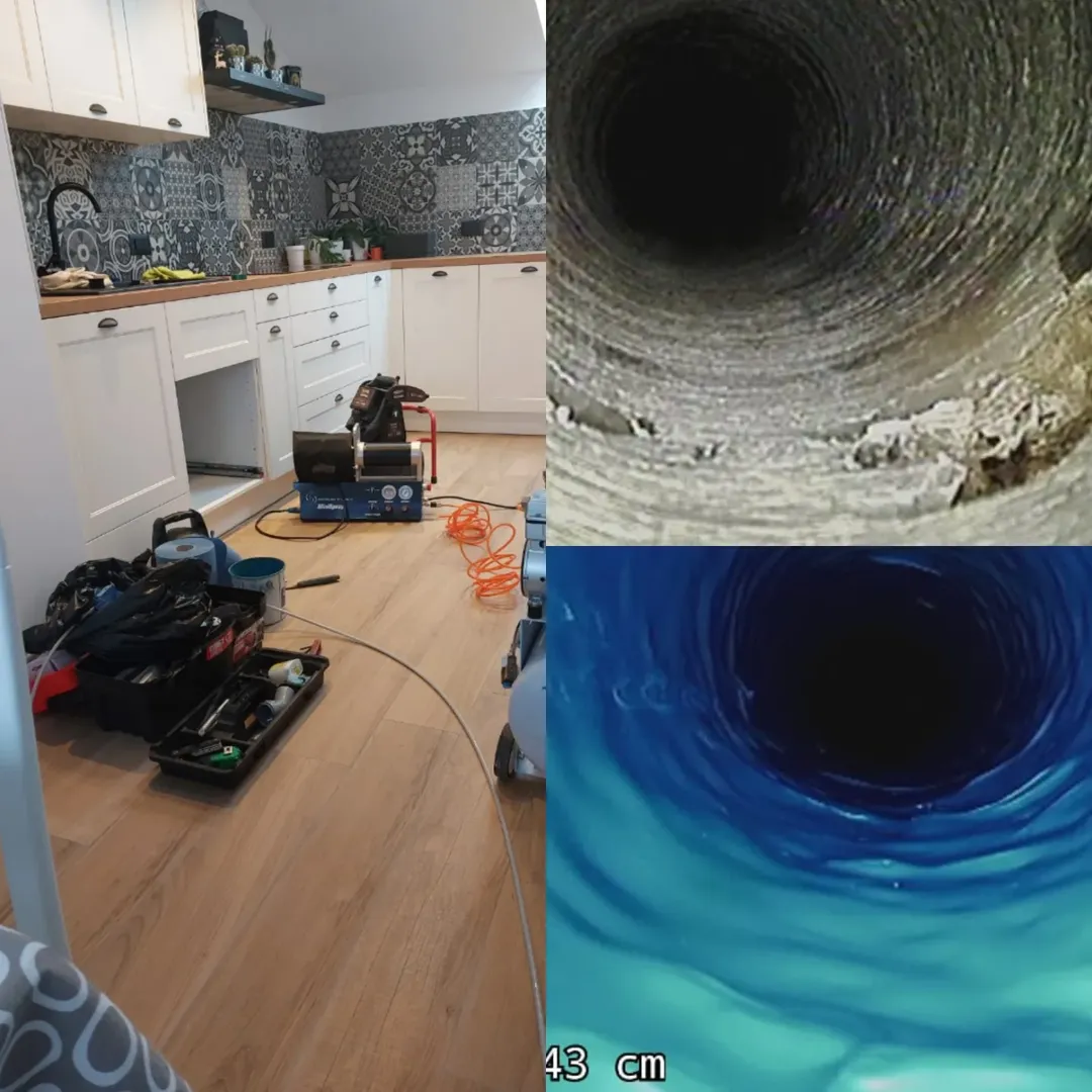 Krtolin tim na terenu